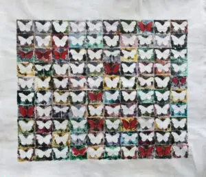 butterflies-15