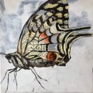 butterflies1-12