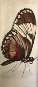 butterflies2-1