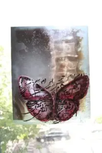 butterflies3-1