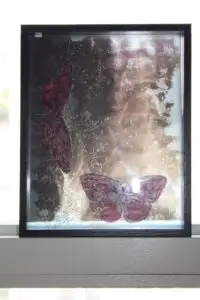 butterflies3-3