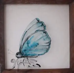 butterflies6-2