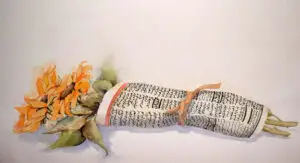 newspapers-6